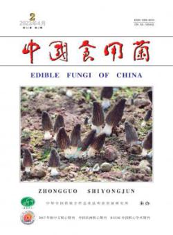 中国食用菌